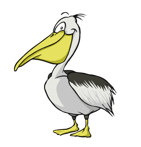 pelican cartoon clipart