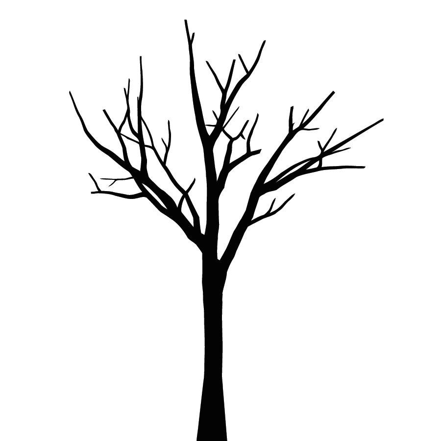 Images For  Cartoon Tree Without Leaves