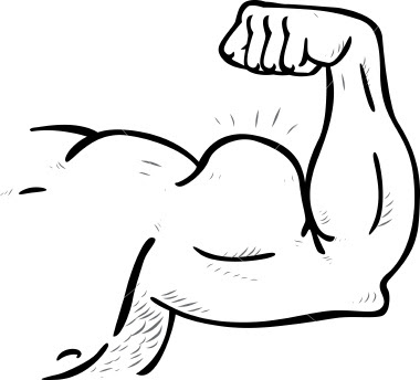 arm muscles clipart