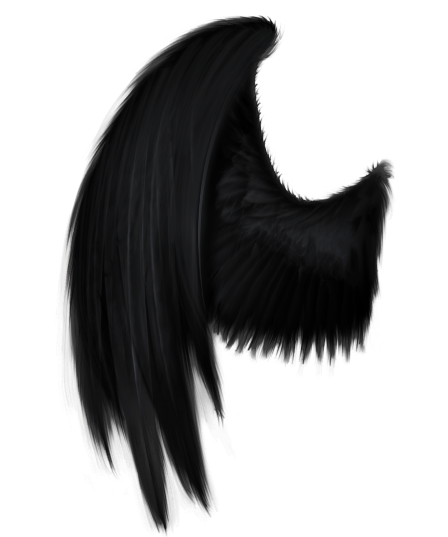 Free: Black Wings (PNG)  Official PSDs 