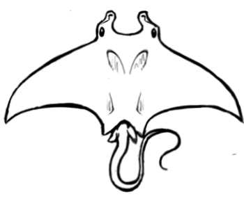 manta ray tattoo by Nora-Belle on Clipart library