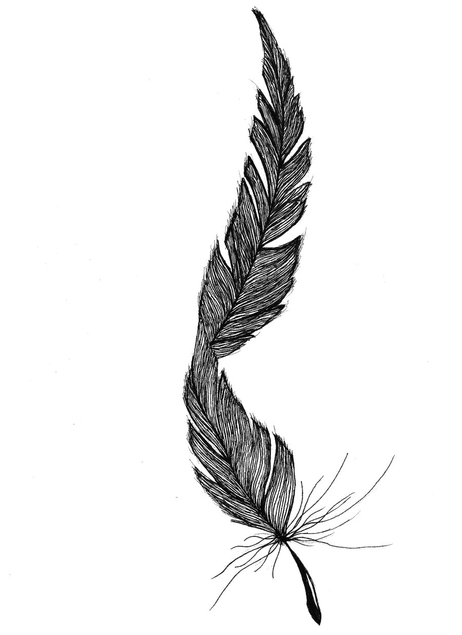 Feathers With Flying Flock Of Fly Birds Stock Illustration - Download Image  Now - Feather, Raven - Bird, Tattoo - iStock