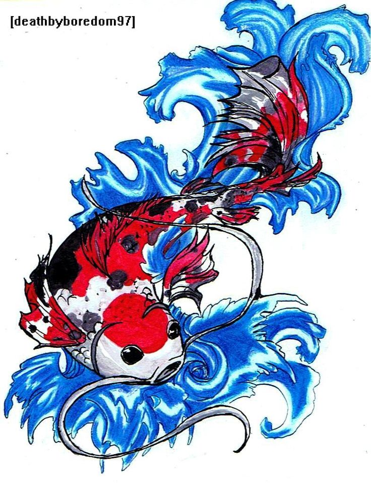 30 Koi Fish Tattoo Designs And The Meaning Behind Them  Saved Tattoo