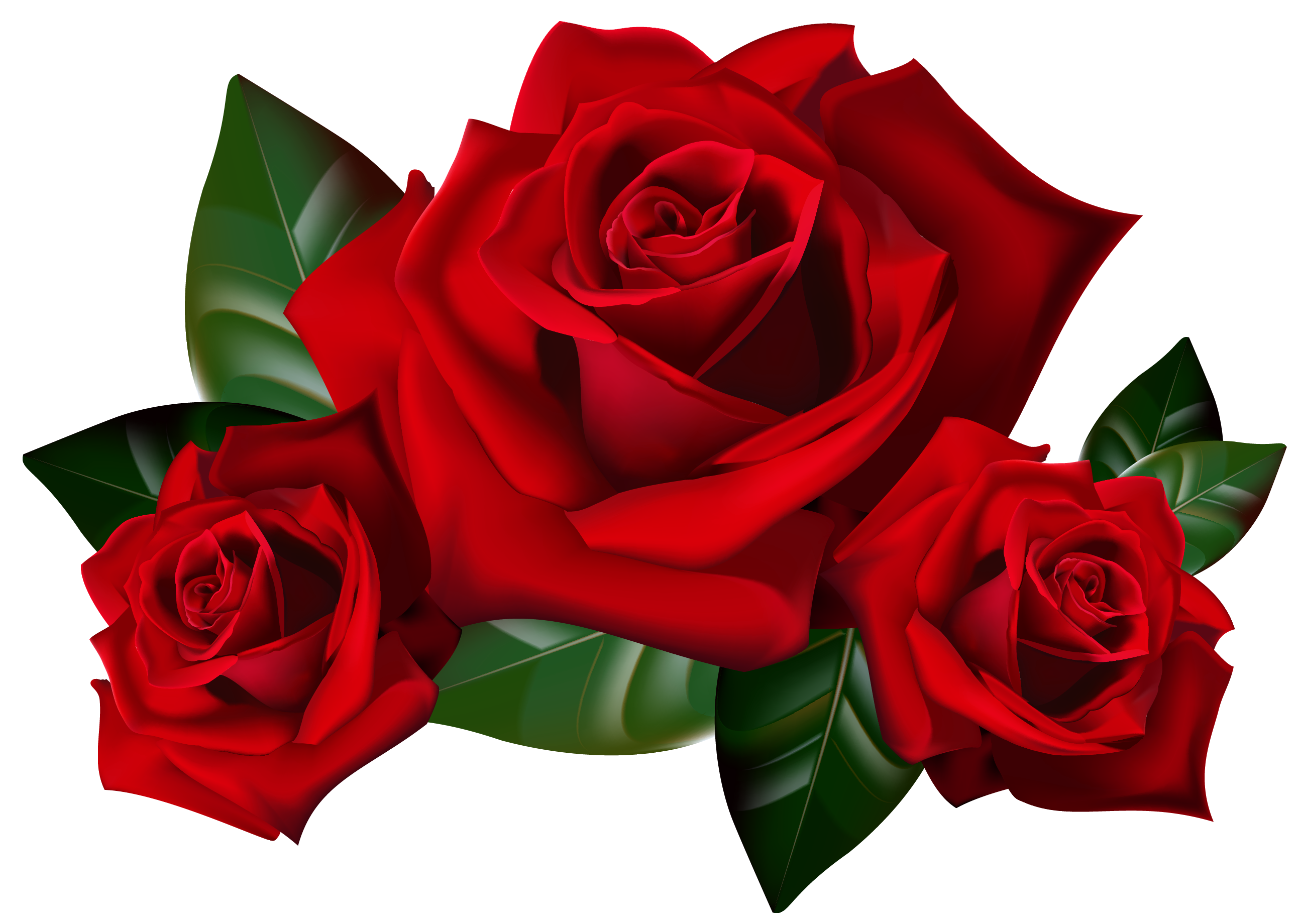 Red Roses PNG Clipart Picture