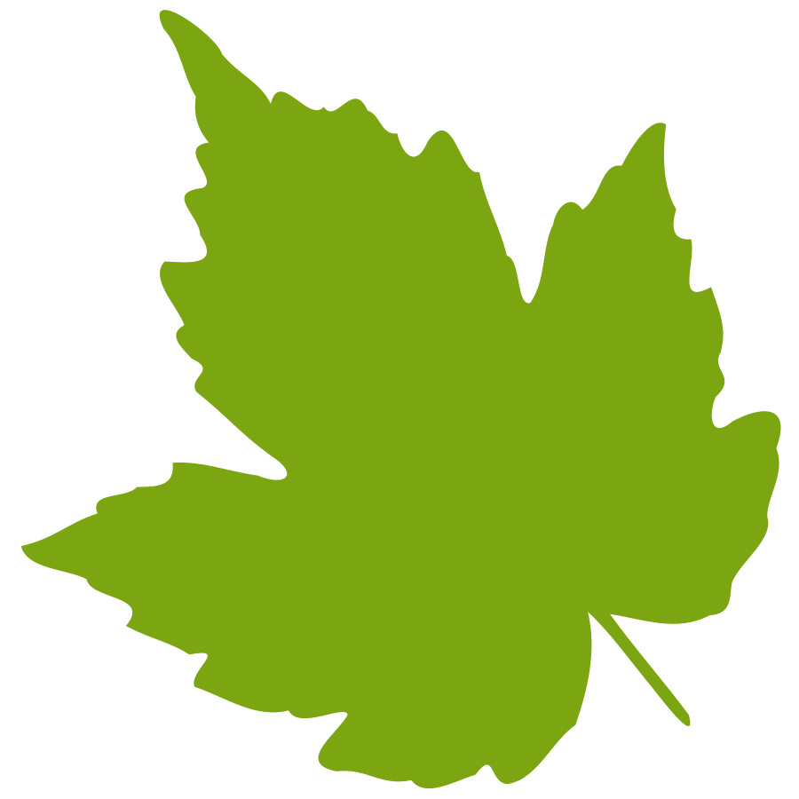 Green Maple Leaf Clipart | Clipart library - Free Clipart Images