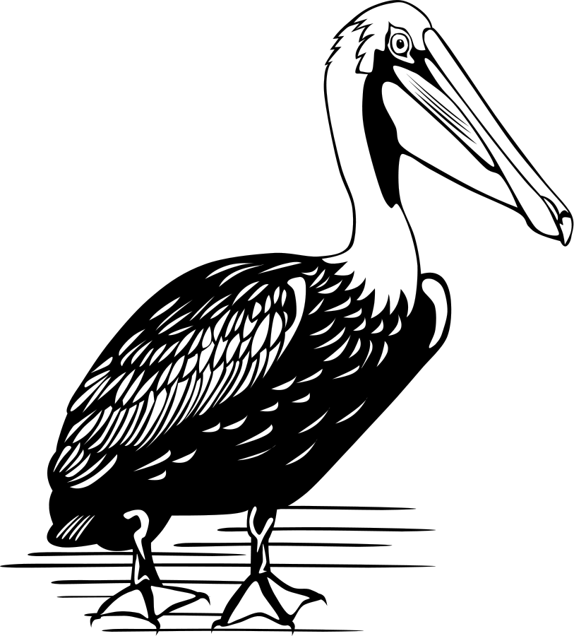 Pelican Clipart, vector clip art online, royalty free design 