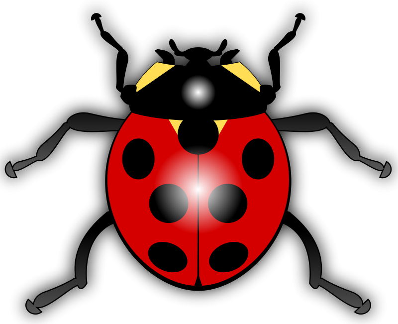 Ladybug Illustration - Vibrant Red Beetle with Black Spots