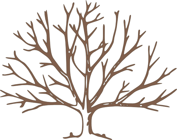 Bare Tree Silhouette - Winter Branch Structure Illustration