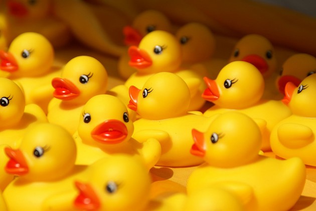 Free Rubber Ducks, Download Free Rubber Ducks png images, Free ClipArts ...