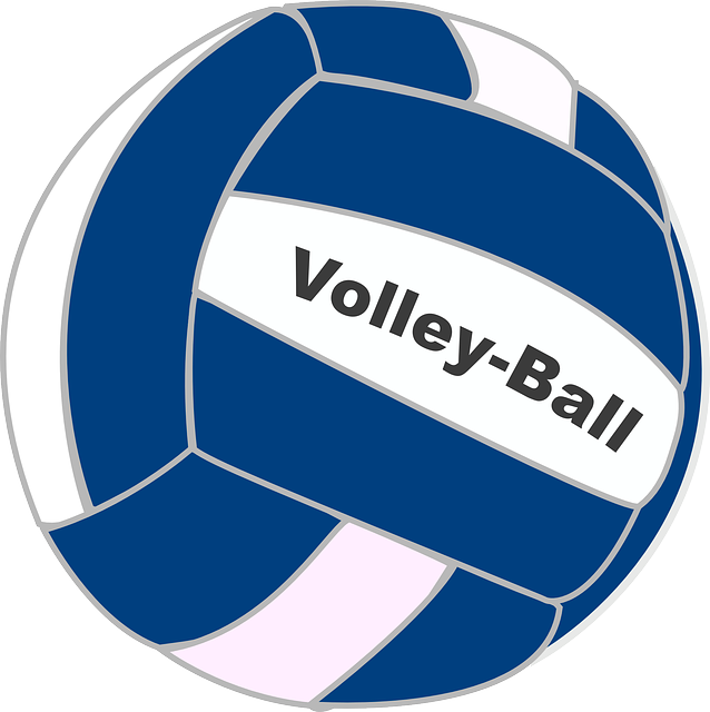 Blue and white volleyball with "Volley-Ball" text on a white panel, stylized vector illustration.
