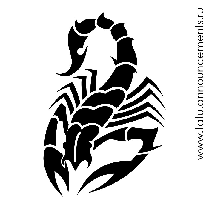 Free Scorpion Drawing, Download Free Scorpion Drawing png images, Free ...