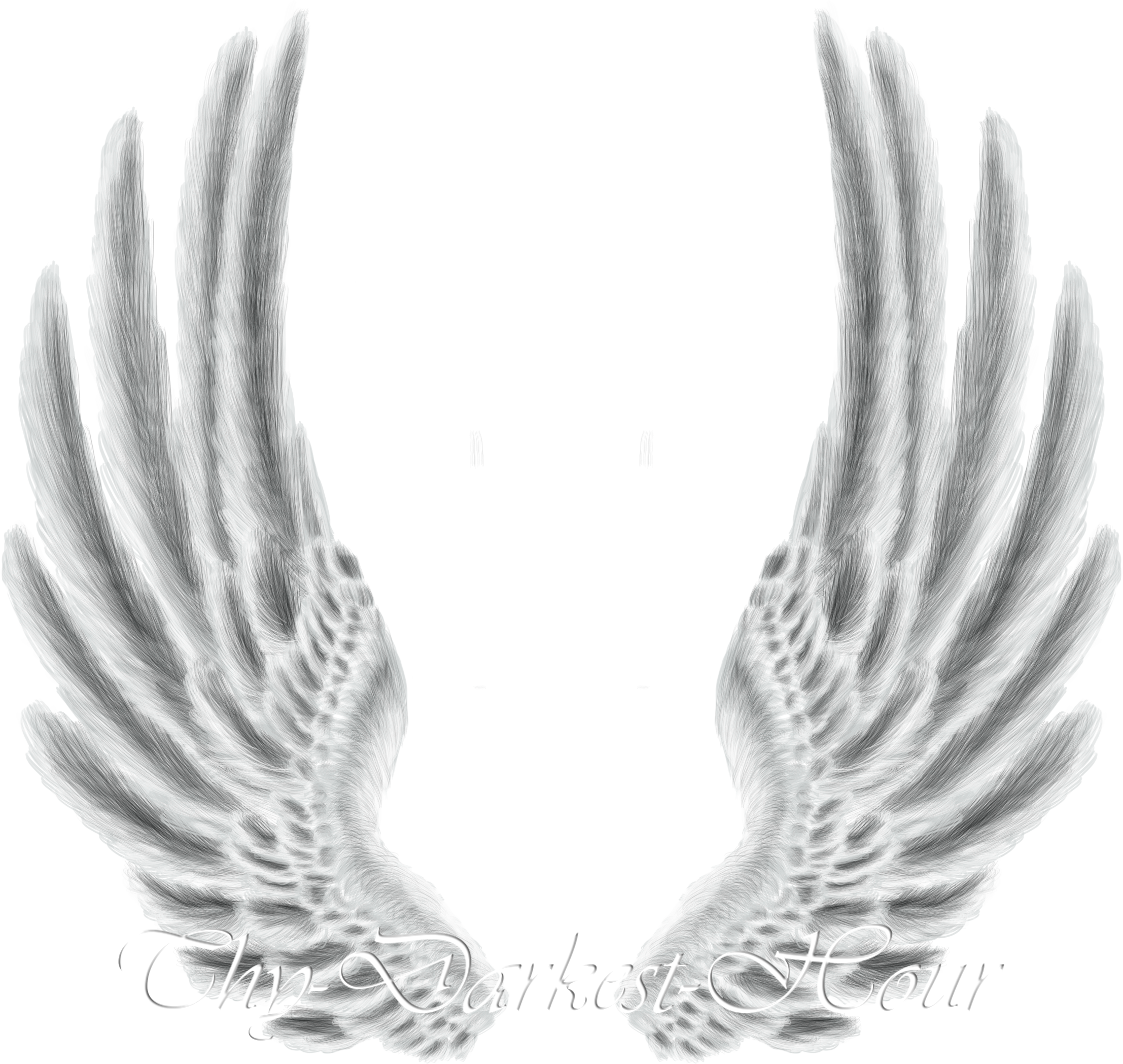Wings - Premium PNG by Thy-Darkest-Hour on Clipart library