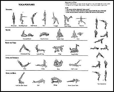 Yoga Downloads Free Online Yoga Pose Guide, advanced Yoga and