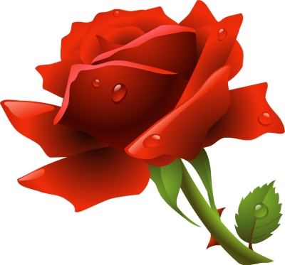 Red Rose / Png - Clipart library