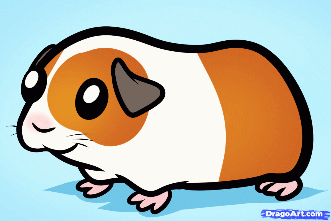 How to Draw a Guinea Pig for Kids, Step by Step, Animals For Kids 