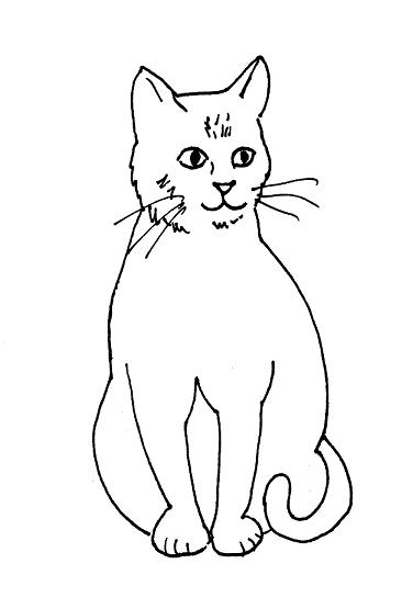 How to draw an easy cat for kids - YouTube