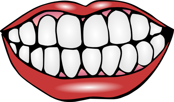 Cartoon Smile Teeth - Clipart library
