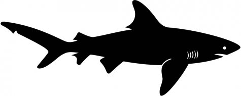 Shark Silhouette Tattoo - Clipart library