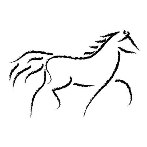 horse sketches on Pinterest