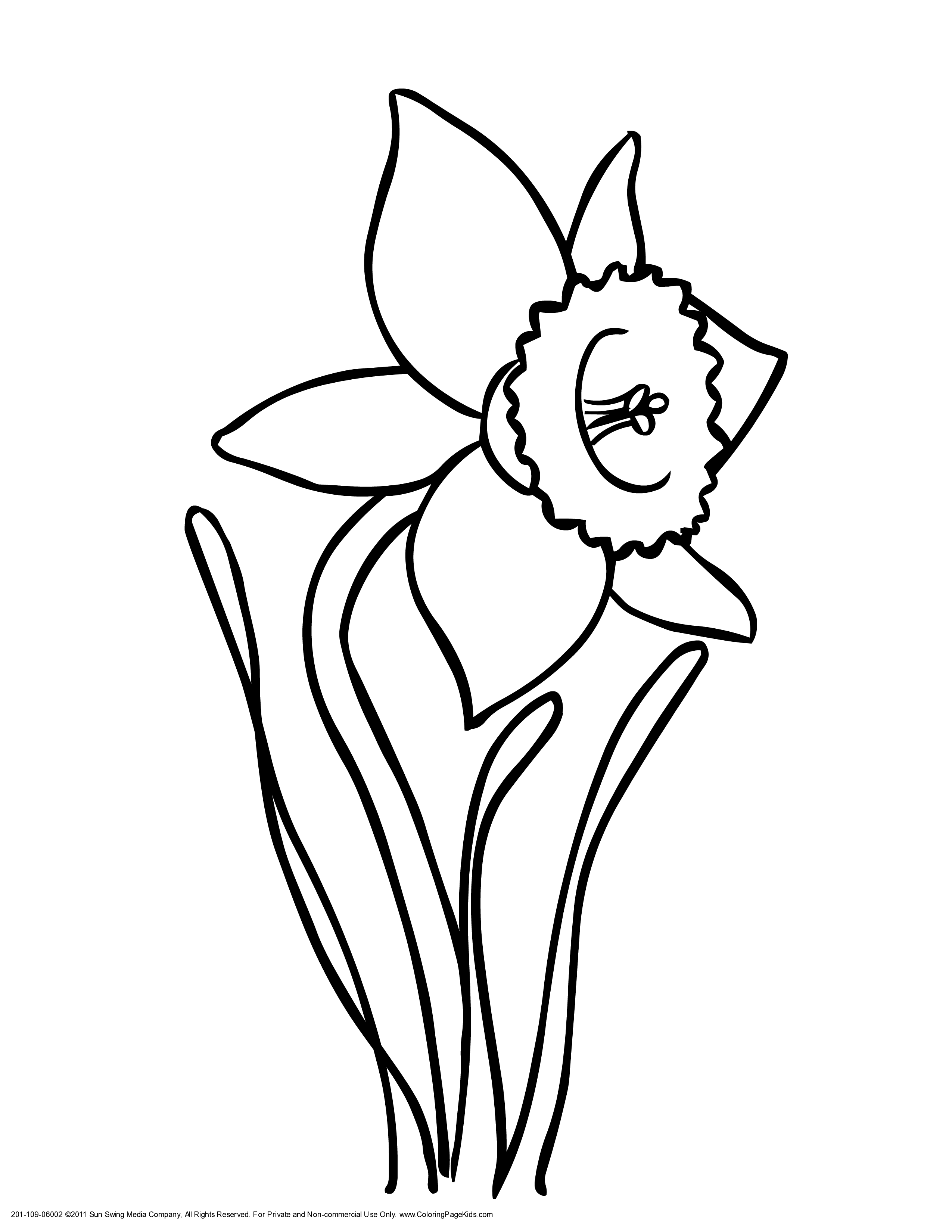 black and white clipart of daffodils - Clip Art Library