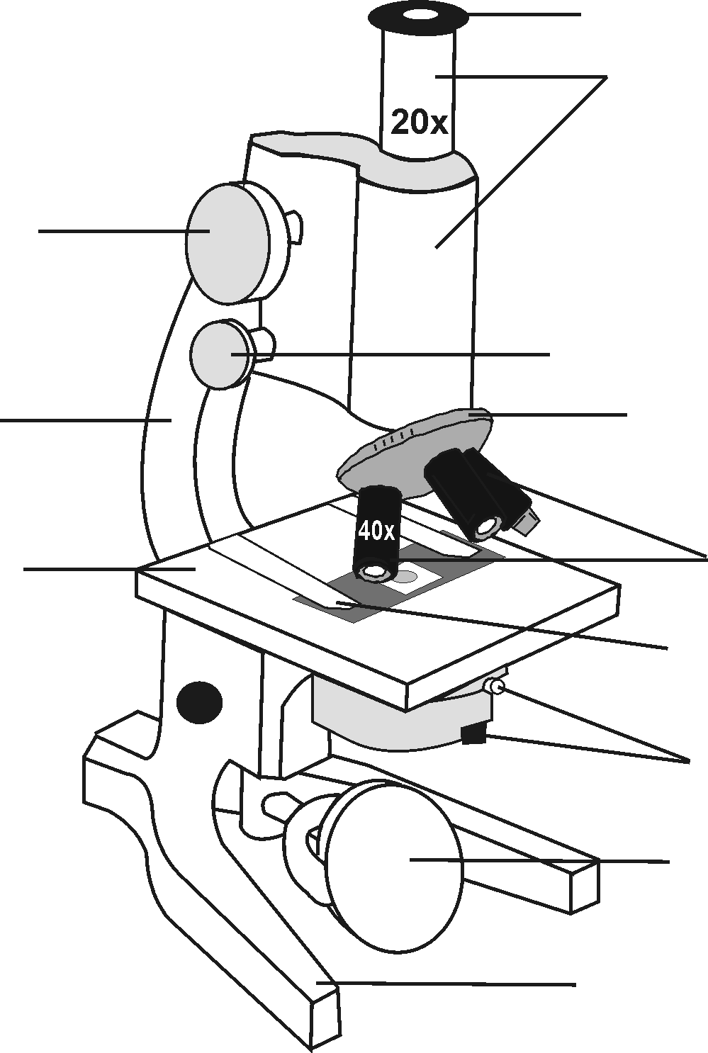 How to Draw a Microscope Easy