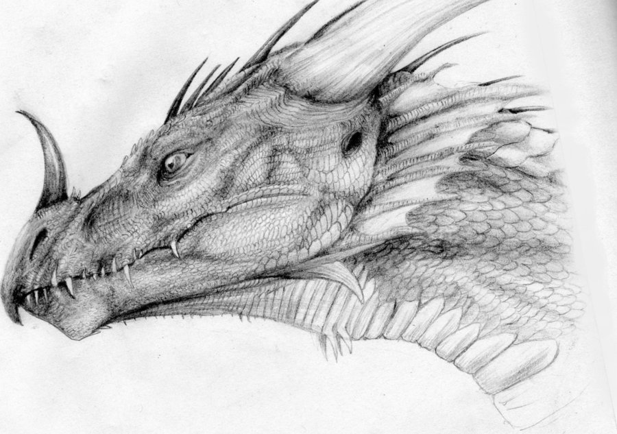 drawing realistic dragon head - Clip Art Library