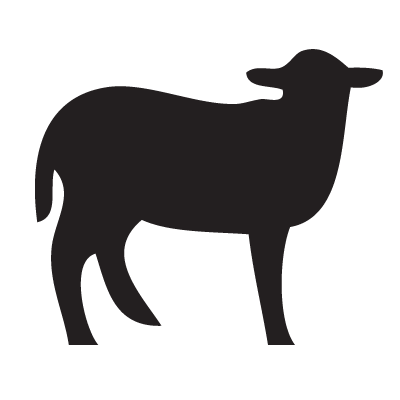 Sheep Outlinepng Clipart - Free Clip Art Images