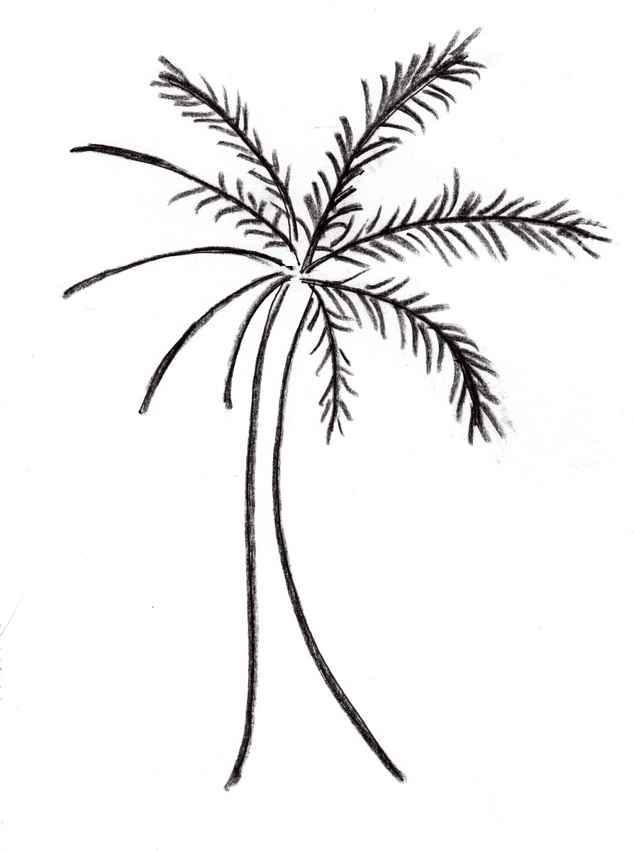 Tall Palm Tree Temporary Tattoo  EasyTatt