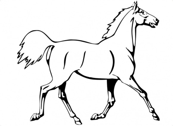 Running Horse Coloring Pages - Animal Coloring pages of 