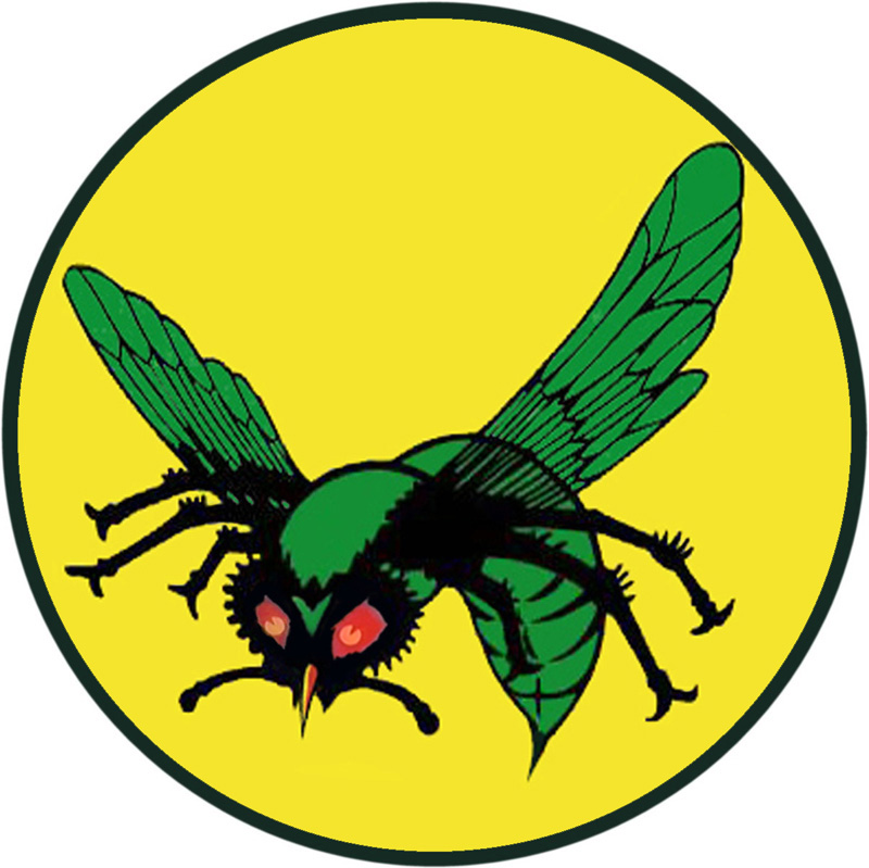 Stylized green fly with red eyes and black limbs on a yellow circular background, bold comic-book illustration.