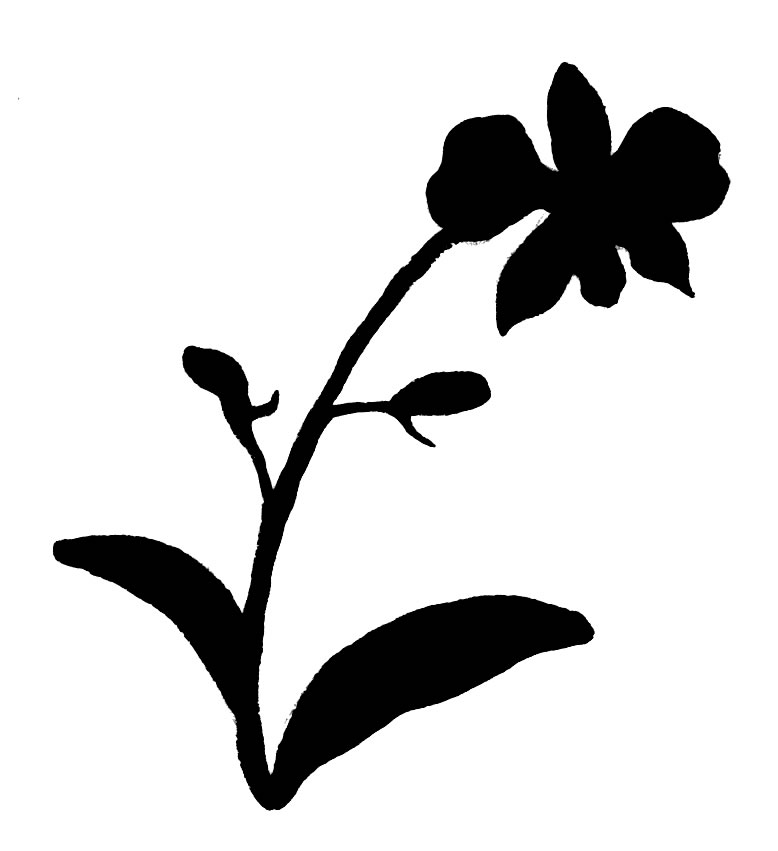Black silhouette of a blooming orchid with stem, leaves, and two buds on white background.