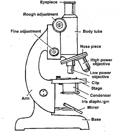 Vector clip art of of a simple microscope | Free SVG