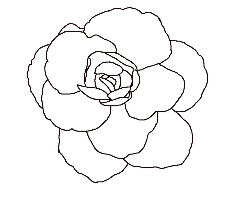 Daisy flower line art drawing. Vector hand... - Stock Illustration  [96555126] - PIXTA
