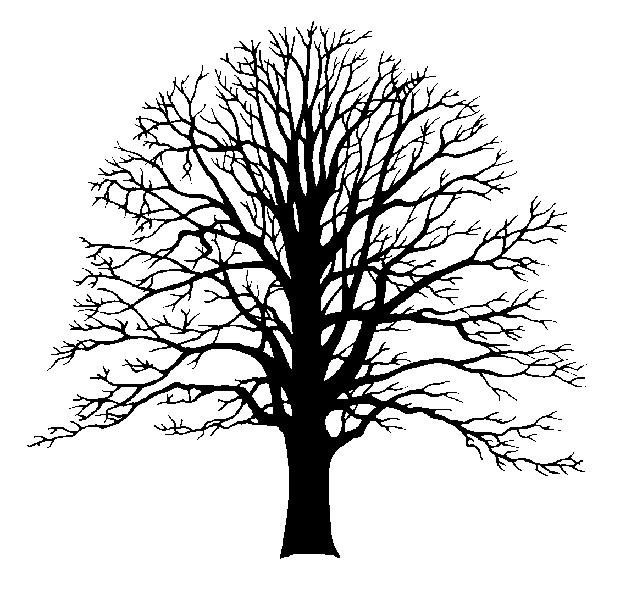 We could think about a tree image again but very simple, add a 