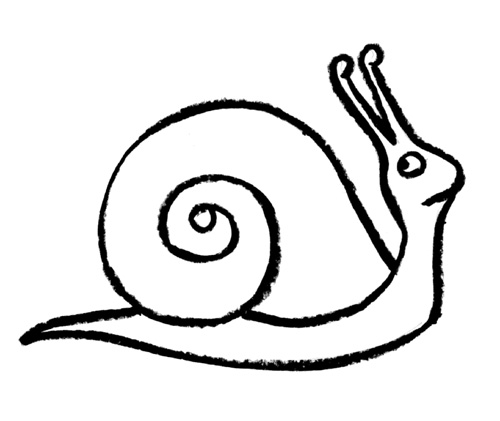 snail drawing outline