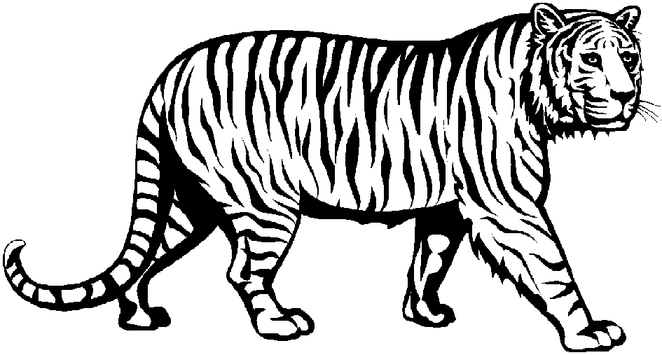 Tiger Head Clip Art Black And White | Clipart library - Free Clipart 