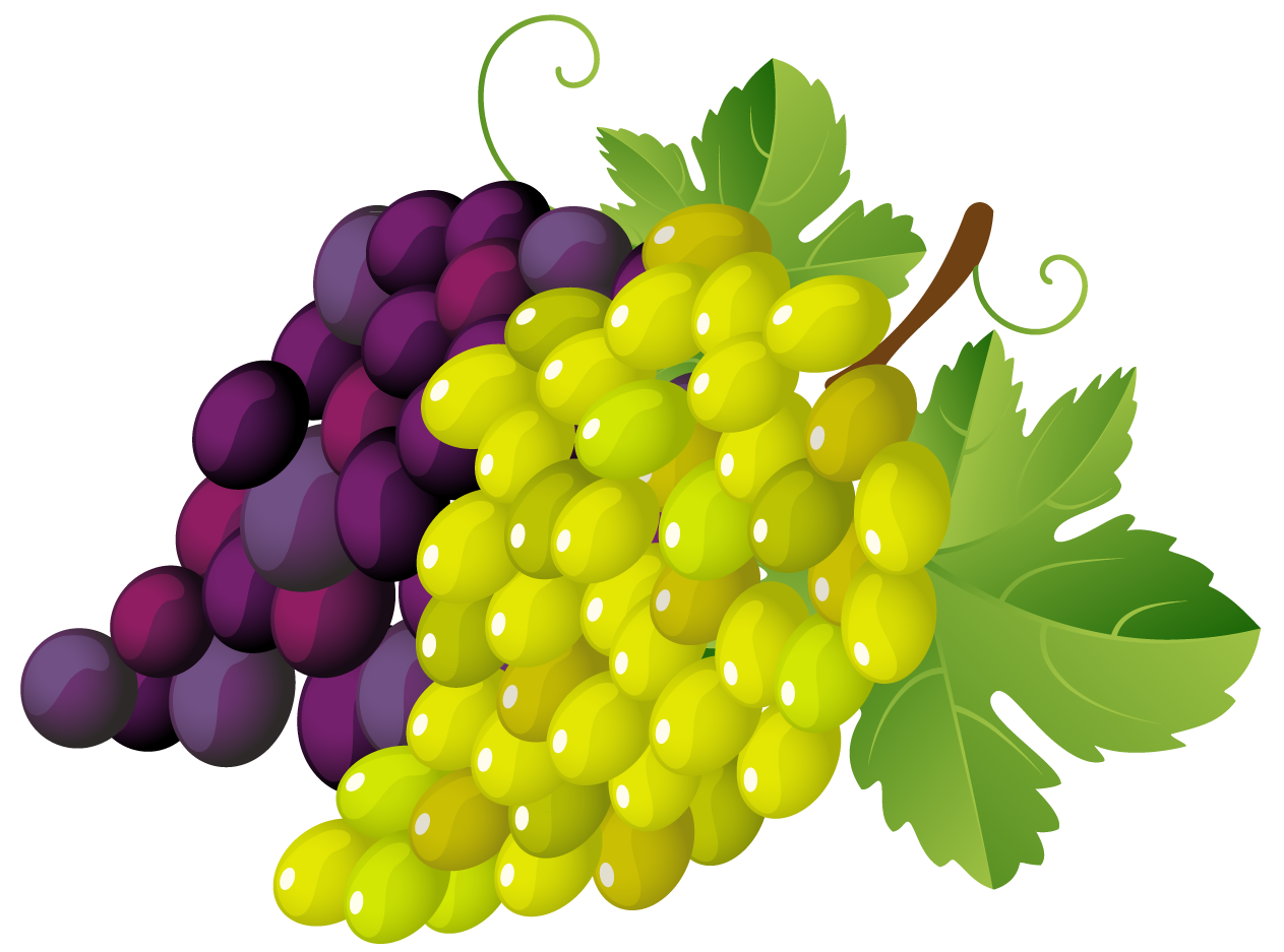 Grapes Fruit Clip Art