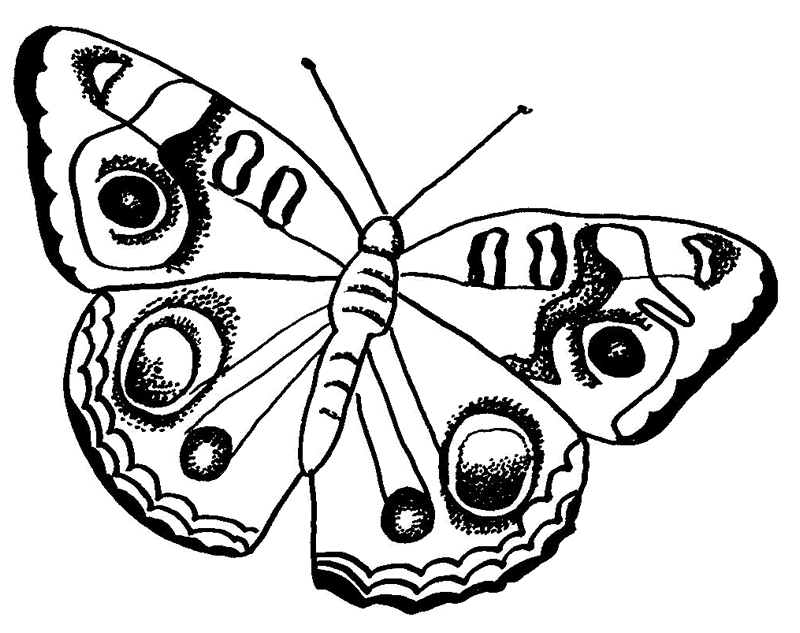 Butterfly Coloring Pages # 1 | Butterfly Coloring Pages