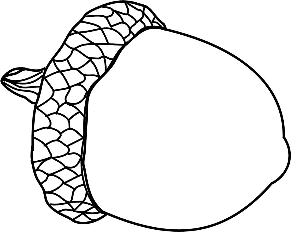 acorn outline clip art
