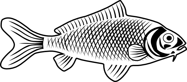 Fish Outline Drawing Vector Graphic by minhajmia · Creative Fabrica