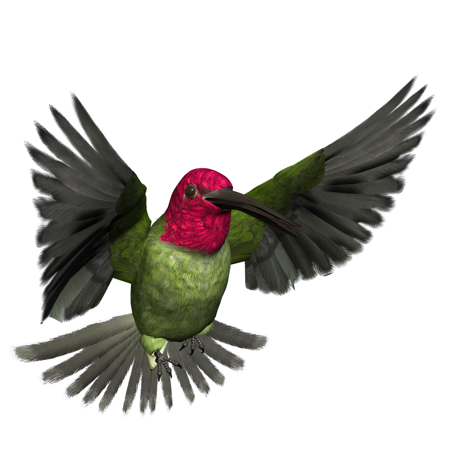 Free High Resolution graphics and clip art: bird png graphics 