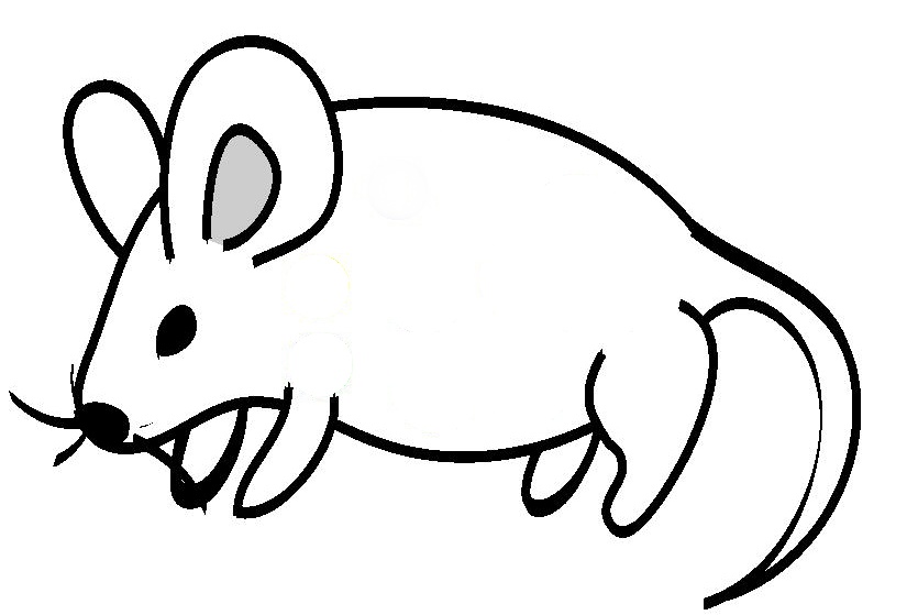 simple line drawings animals