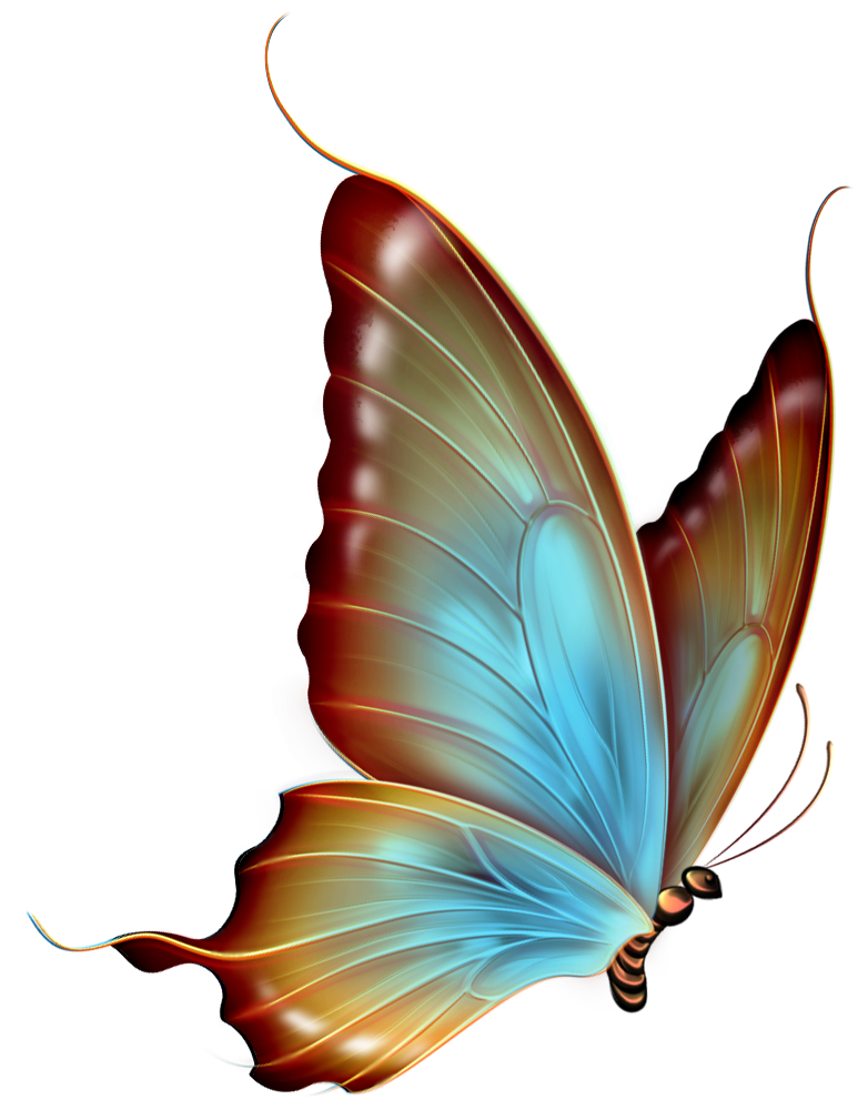 Free Transparent Butterfly Images, Download Free Transparent Butterfly  Images png images, Free ClipArts on Clipart Library
