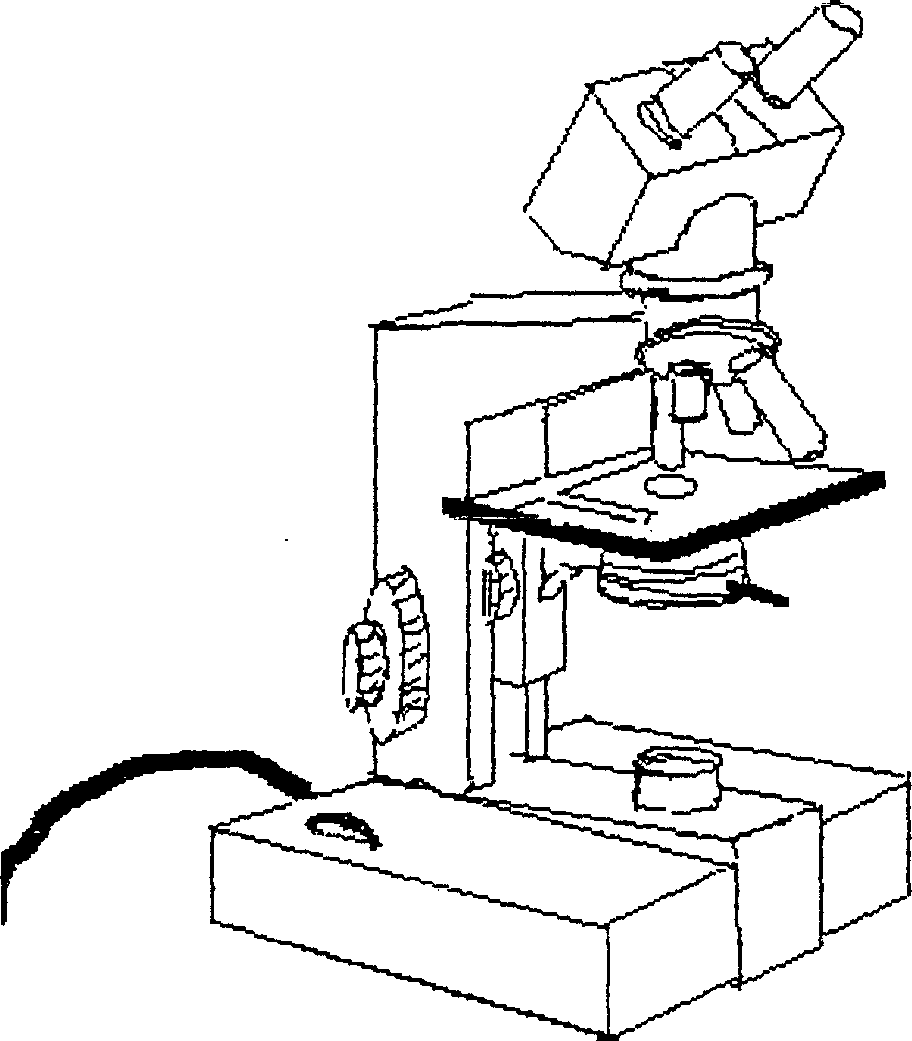 An Image Of A Microscope Science Device Drawing. Royalty Free SVG,  Cliparts, Vectors, and Stock Illustration. Image 96358636.