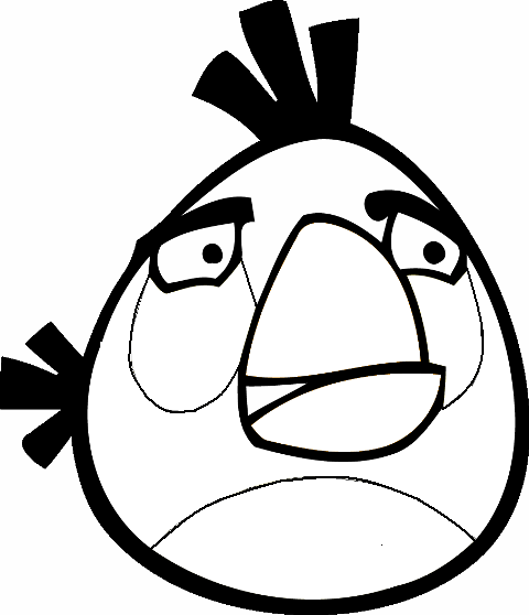 'Discover the World of Angry Birds in Black and White!'