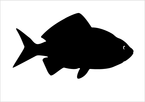Tropical Fish Silhouette | Clipart library - Free Clipart Images