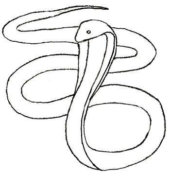 easy snake drawings