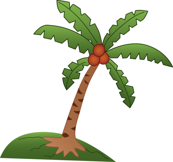 Learn how to draw a Coconut Palm Tree
