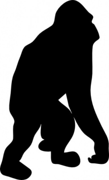 Gorilla Primate Silhouette Clip art - gorilla png download - 512*512 ...