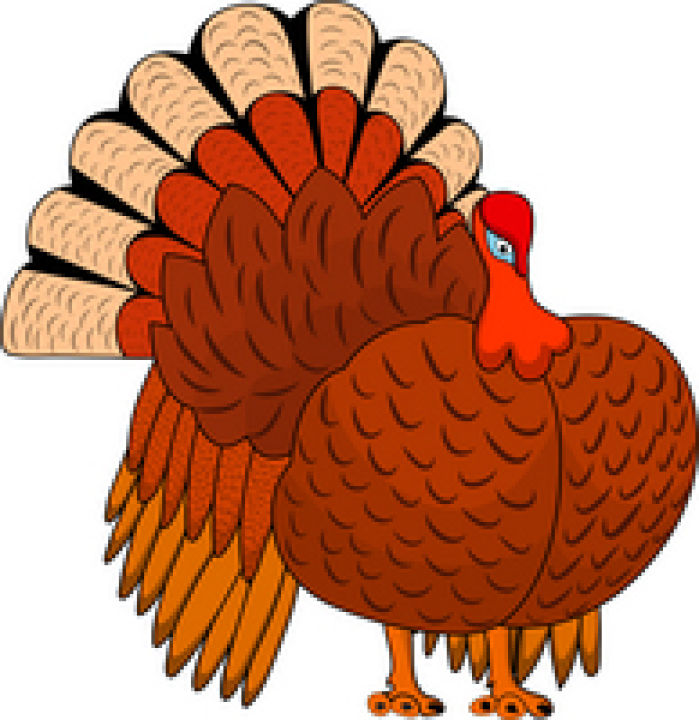 Thanksgiving Turkey Illustration - Festive Cartoon Bird for Holiday Content
